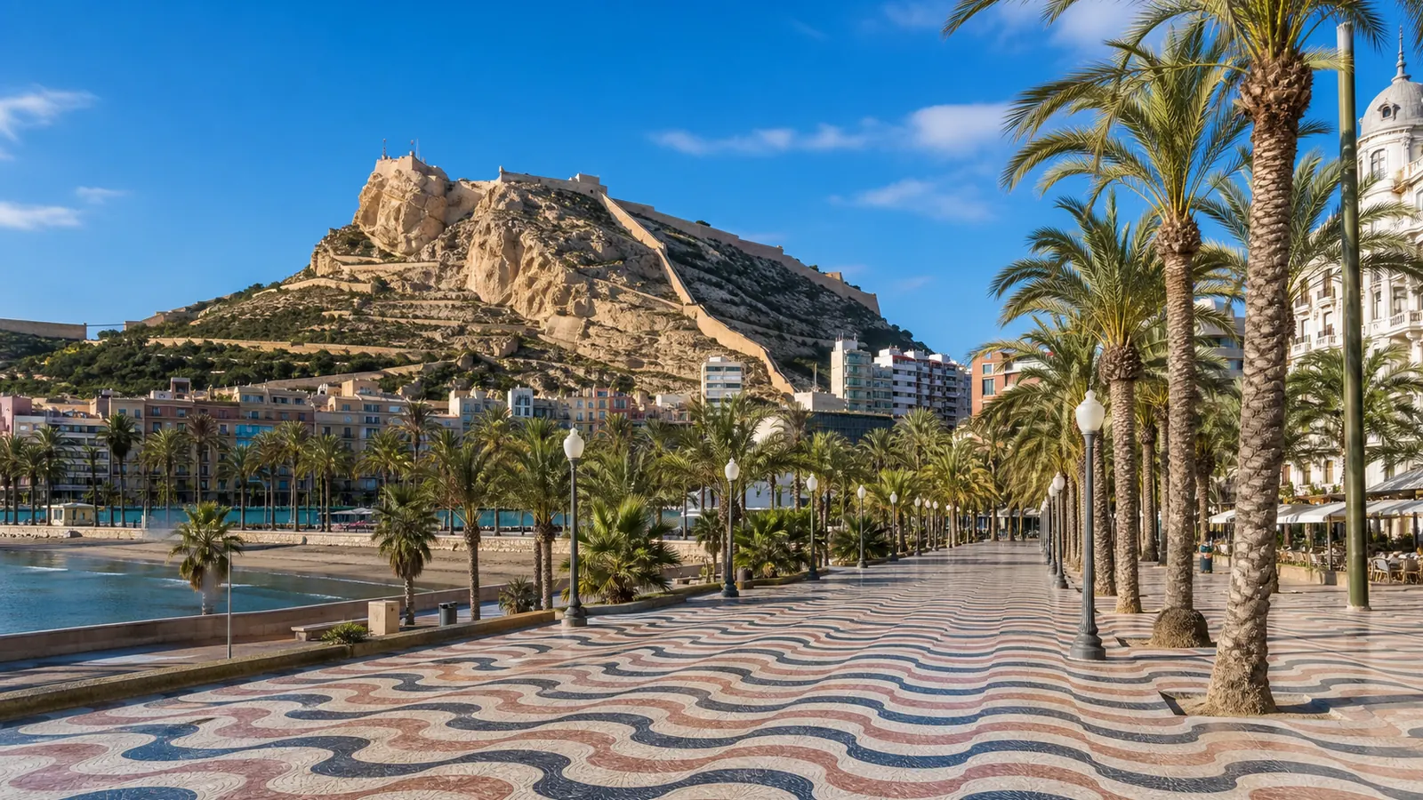Control de plagas en Alicante