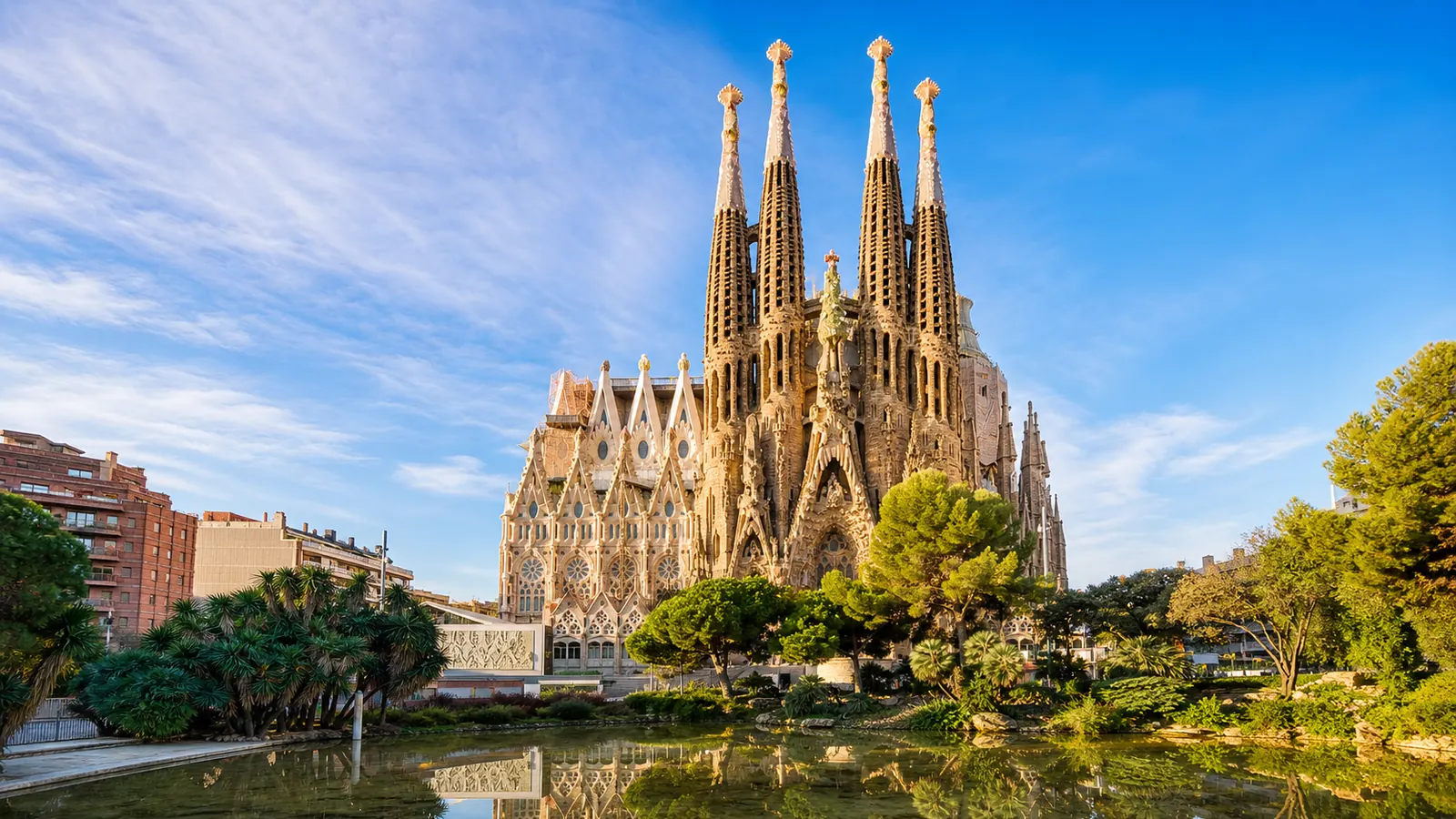 Control de plagas en Barcelona